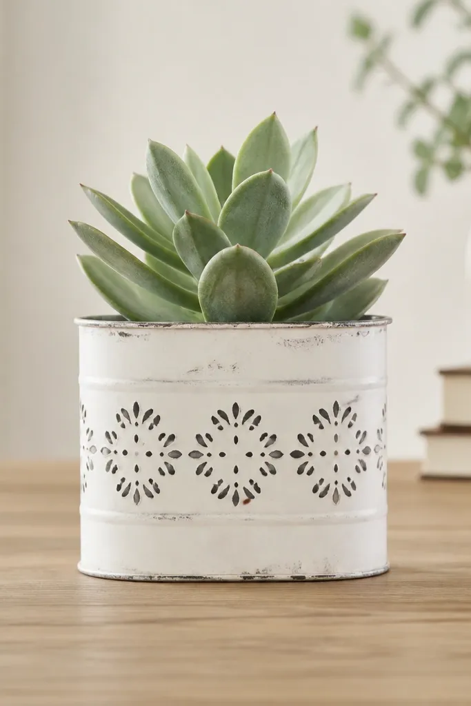 A small galvanized tin planter with a stamped pattern on the front and a faux succulent inside. The tin has a matte white base with black stamp marks.