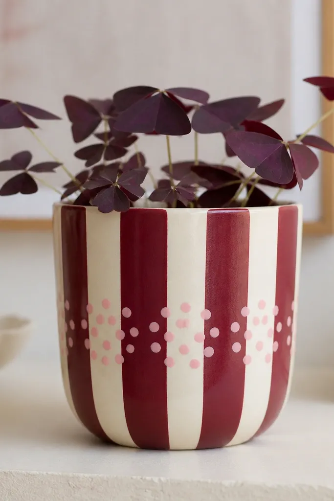A pot with alternating vertical stripes in berry red and cream. Over the stripes, there are small baby pink dots clustered near the center, with a clean, rounded dot pattern.