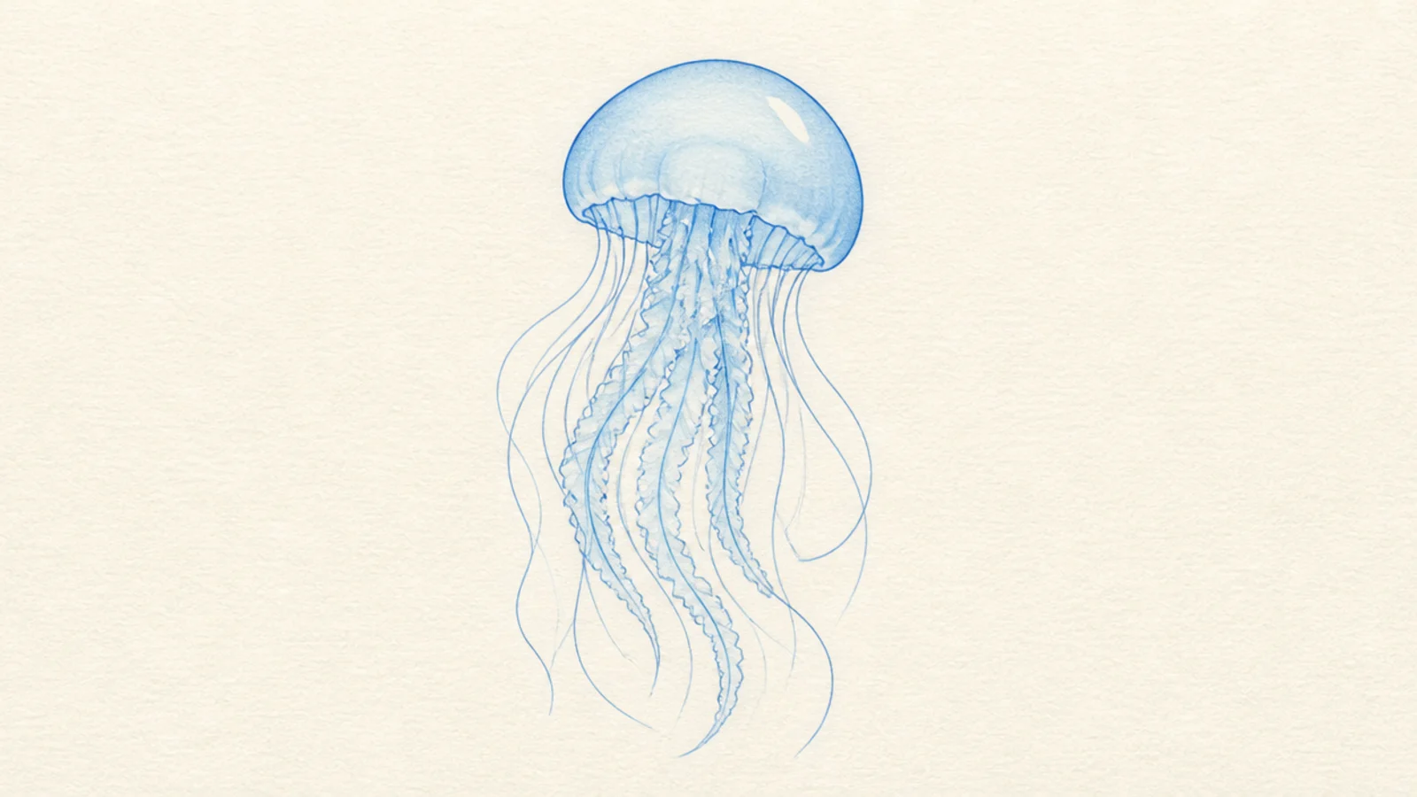 A light sky-blue jellyfish with minimal clean lines