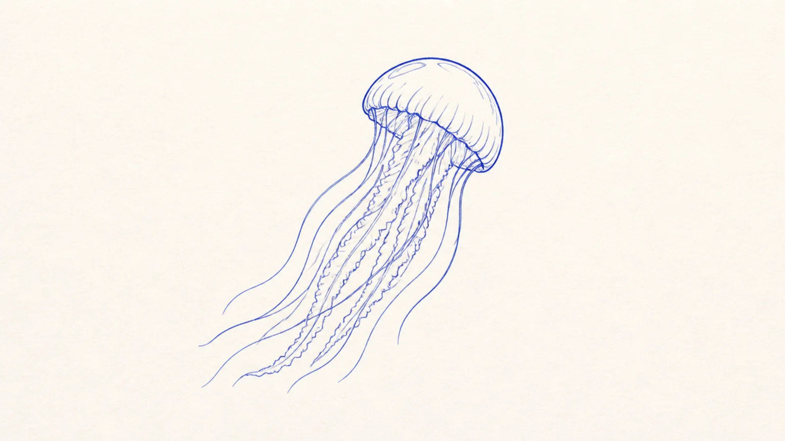 A clean minimal jellyfish drawn in a single blue line