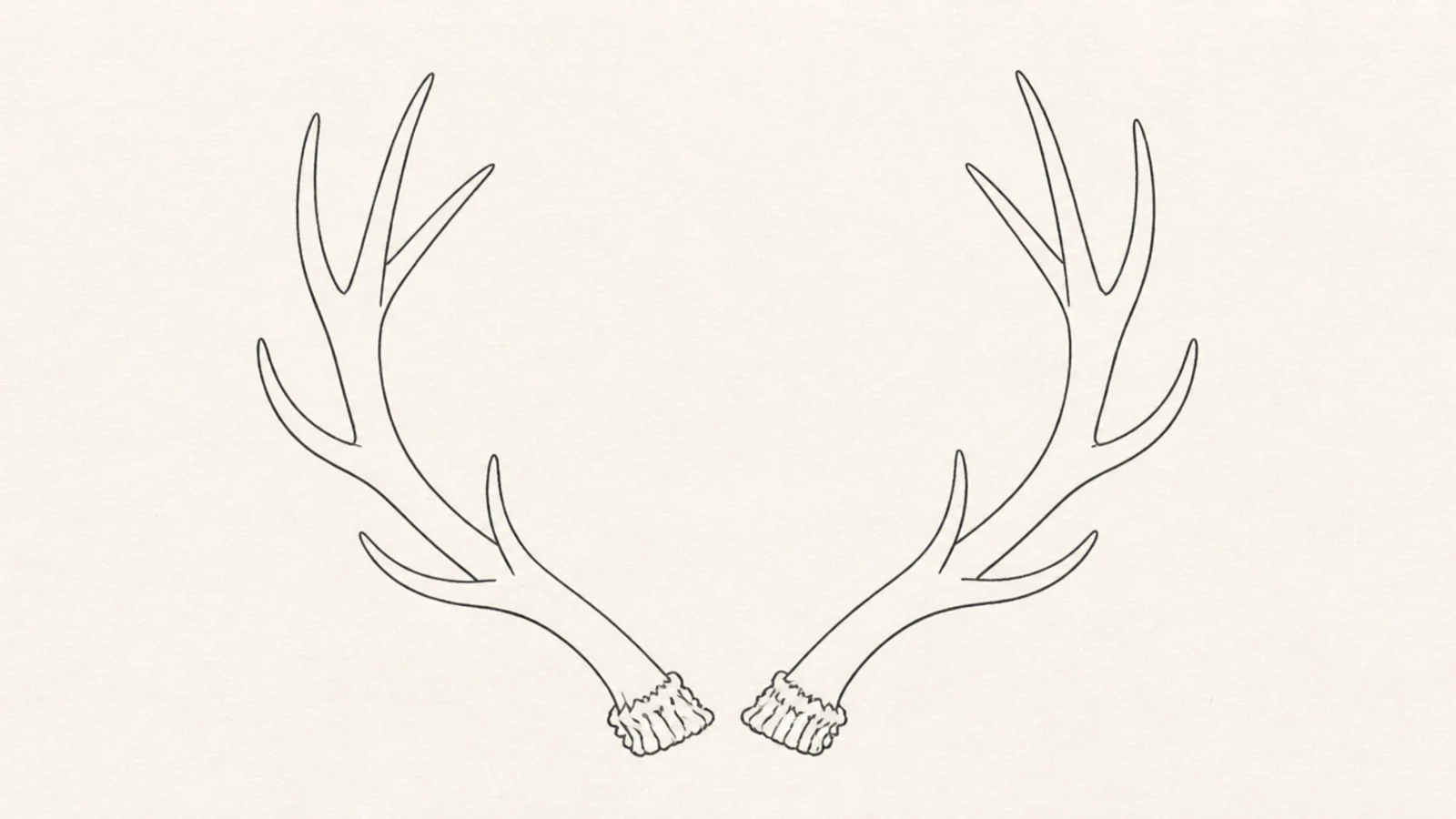 A minimal clean line drawing of a pair of antlers