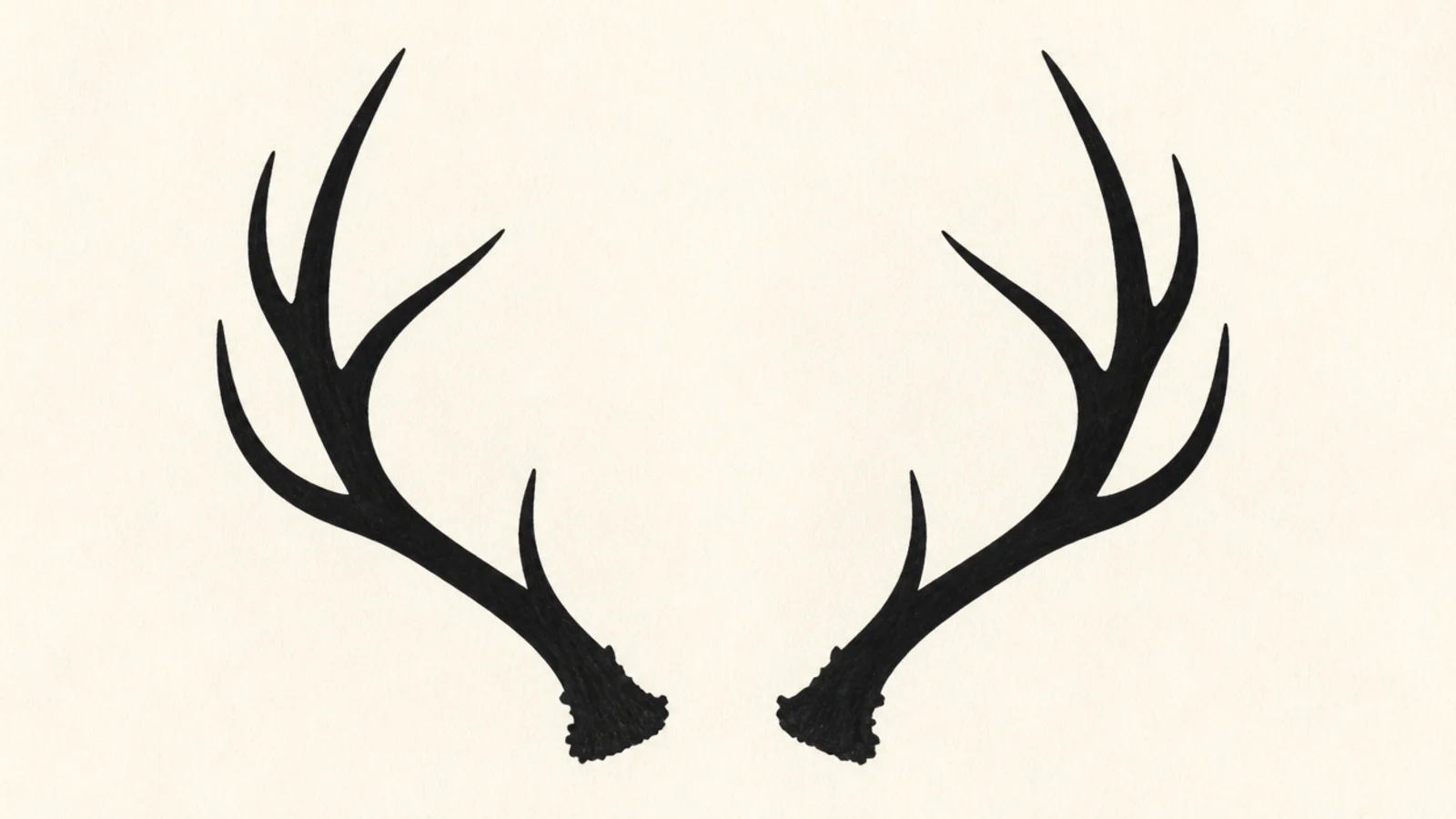 A solid black silhouette of a pair of antlers