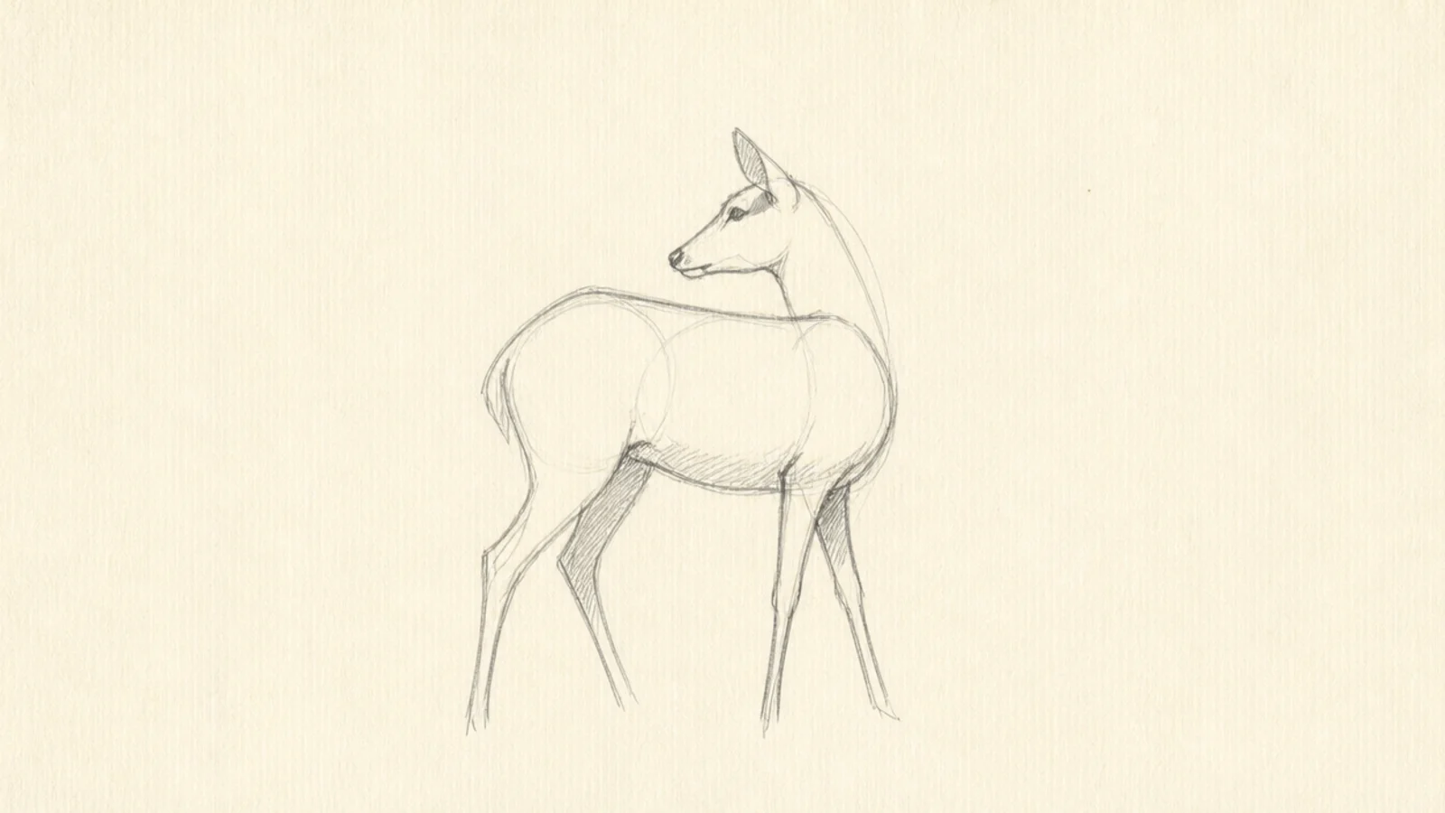 An extremely minimal deer suggested in just a few lines