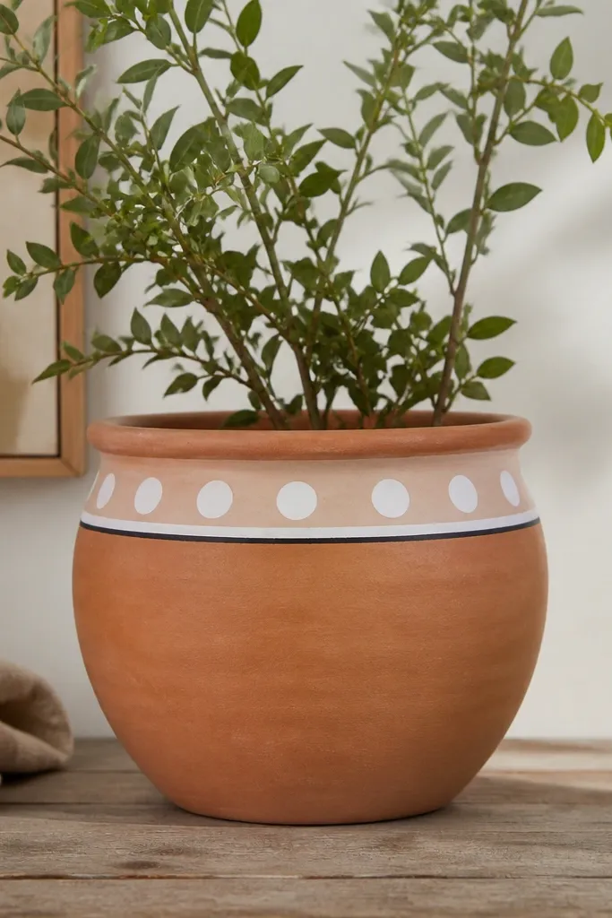 A pot left mostly terracotta, with a white border band near the top containing evenly spaced white dots and a thin black line below it.
