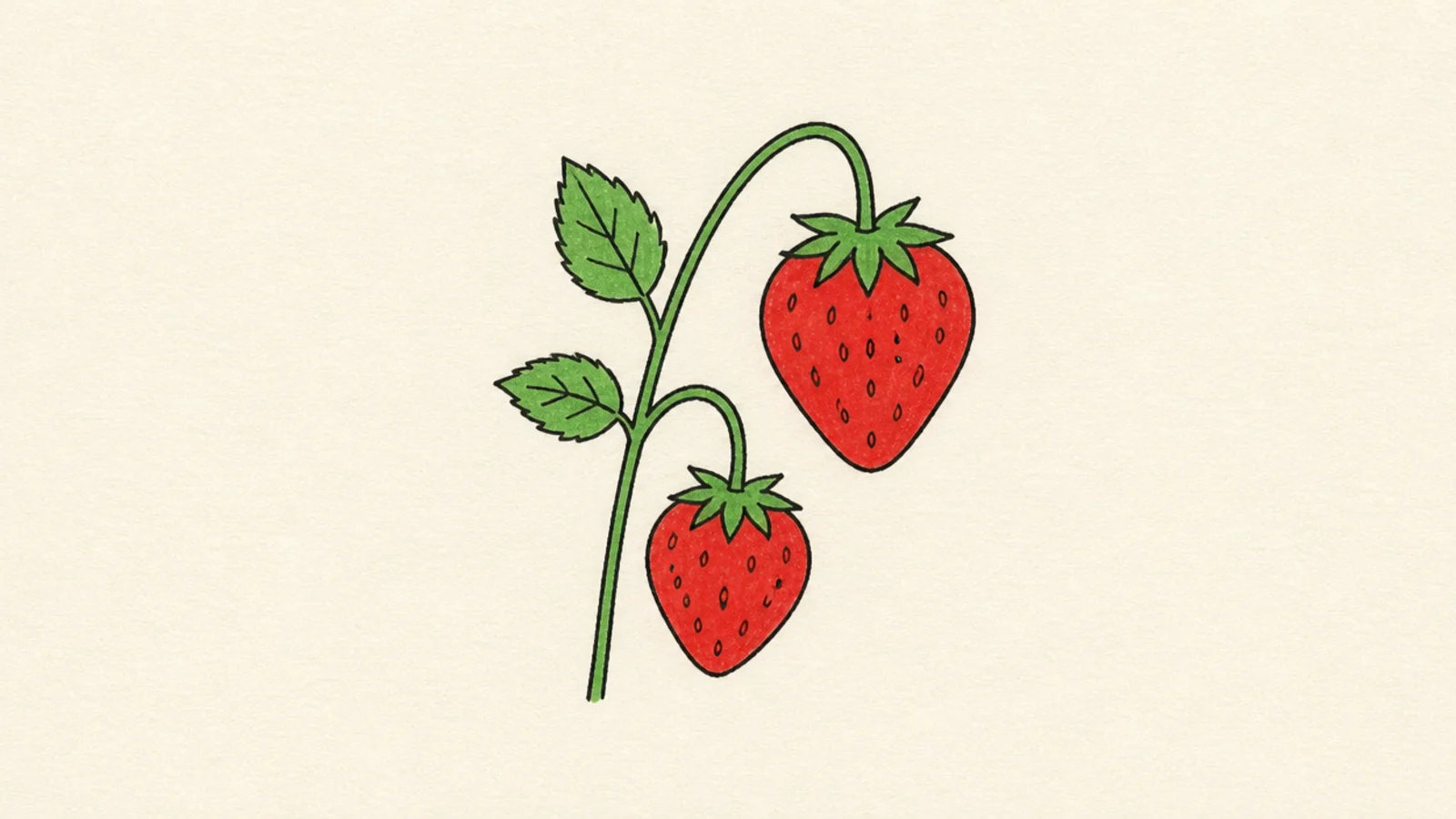Two easy strawberries side by side on a stem