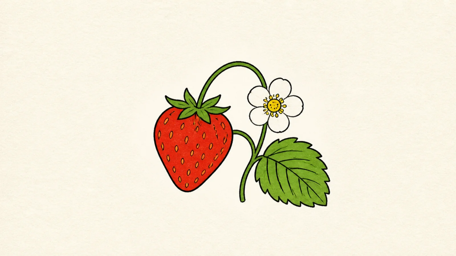 An easy strawberry beside a small white blossom