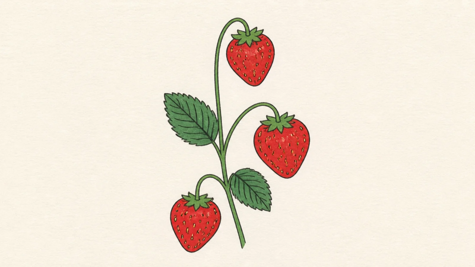 Three easy strawberries grouped at different heights