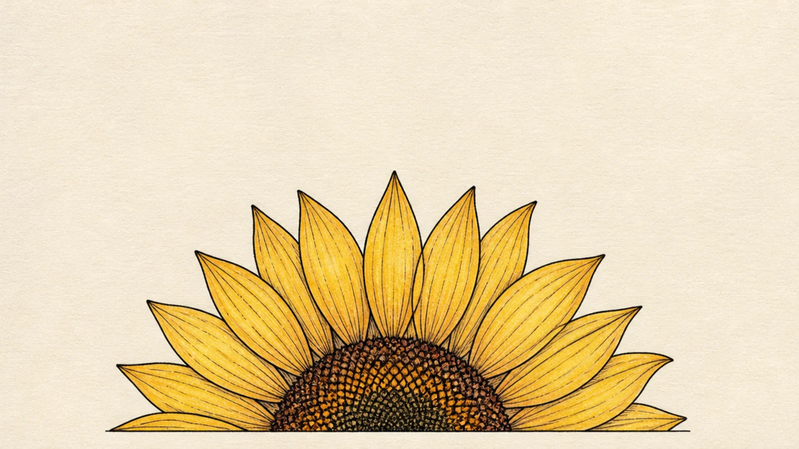 A half sunflower rising from a straight bottom edge line