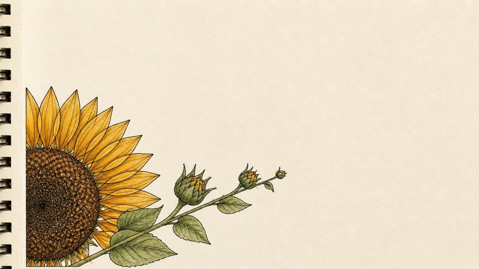 A half sunflower spray running diagonally across a corner