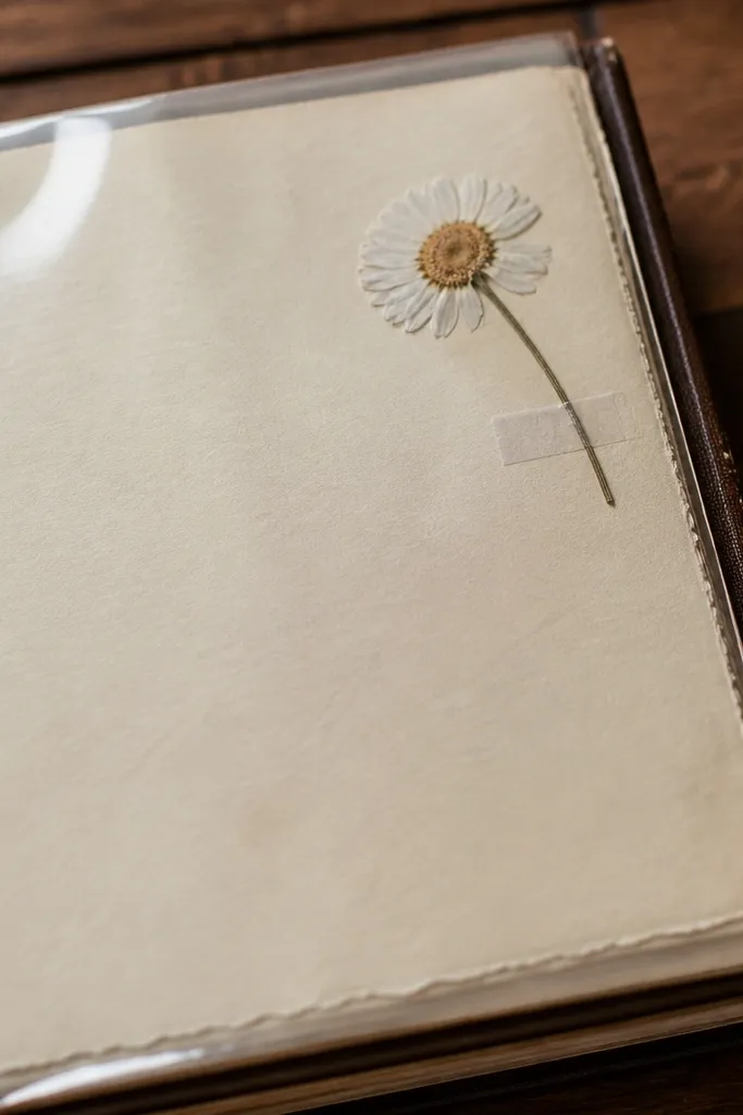 Clear acetate corner overlay with pressed flower and cream journal label