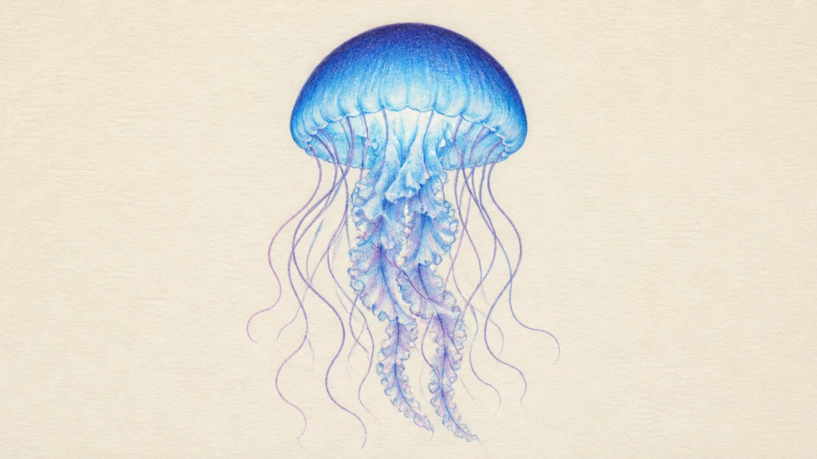 A softly glowing blue jellyfish drawn and blended in colored pencil