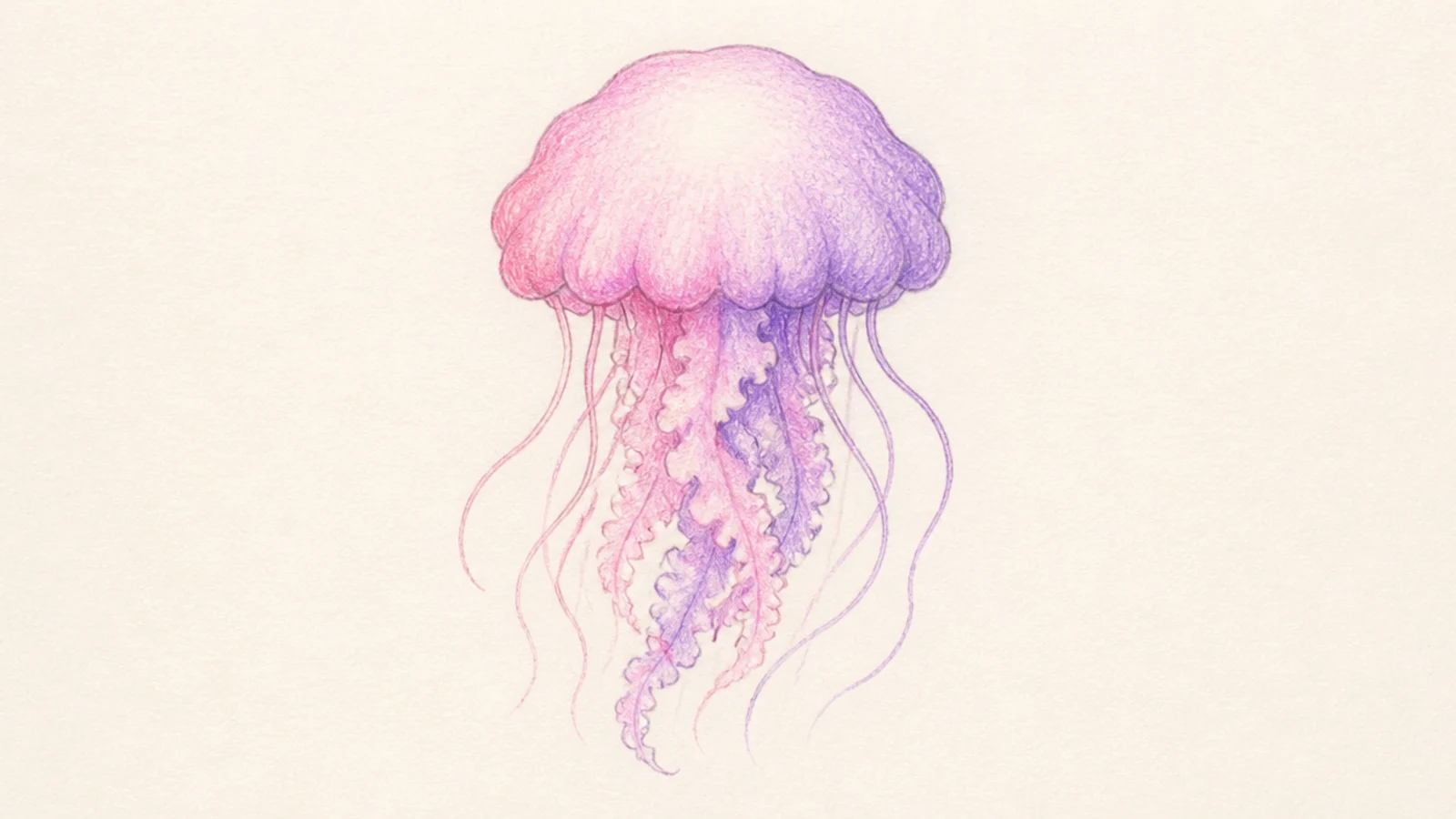 A soft pastel jellyfish with a cloud-like bell in colored pencil