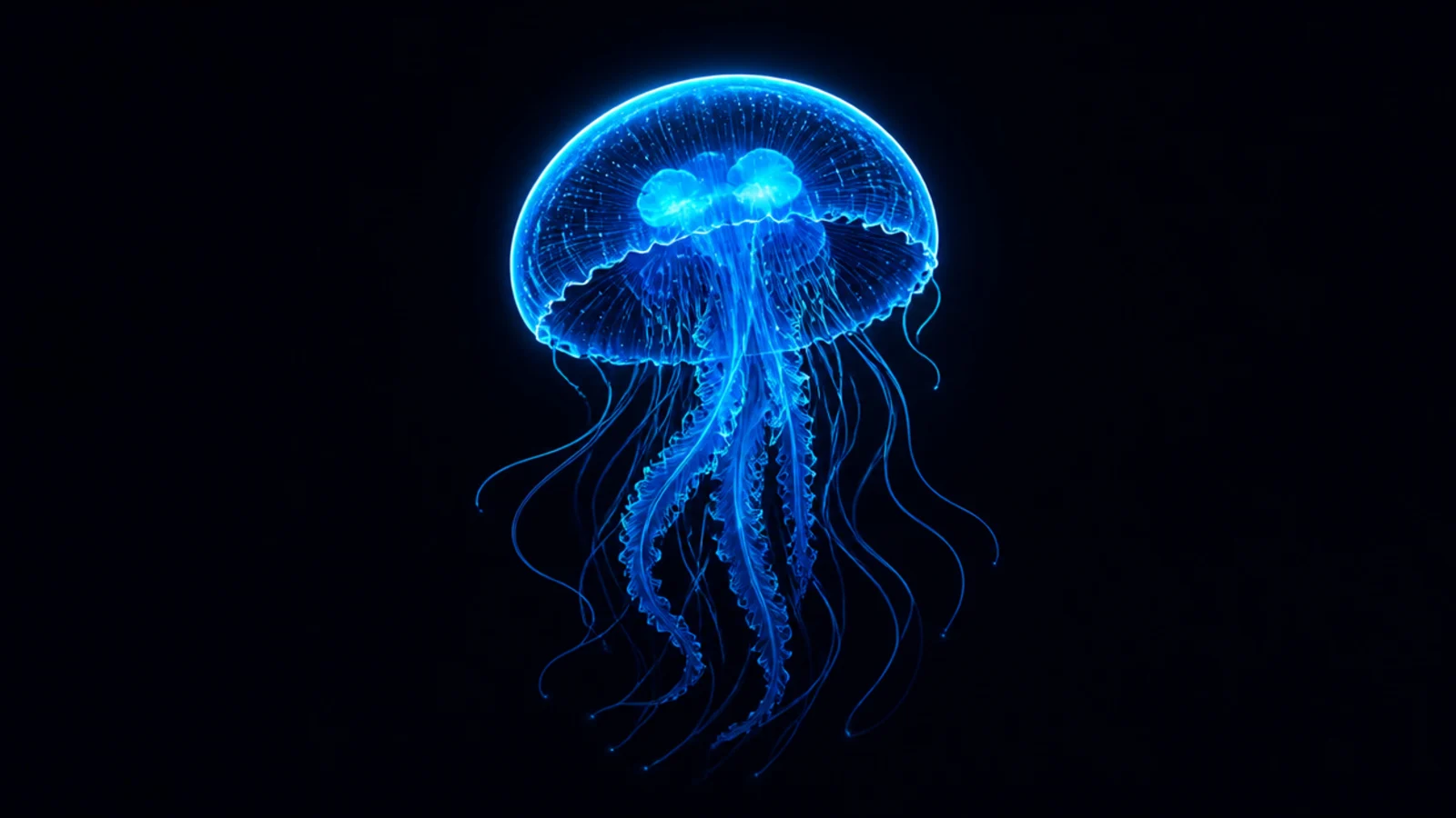 A bright blue neon digital jellyfish glowing on black