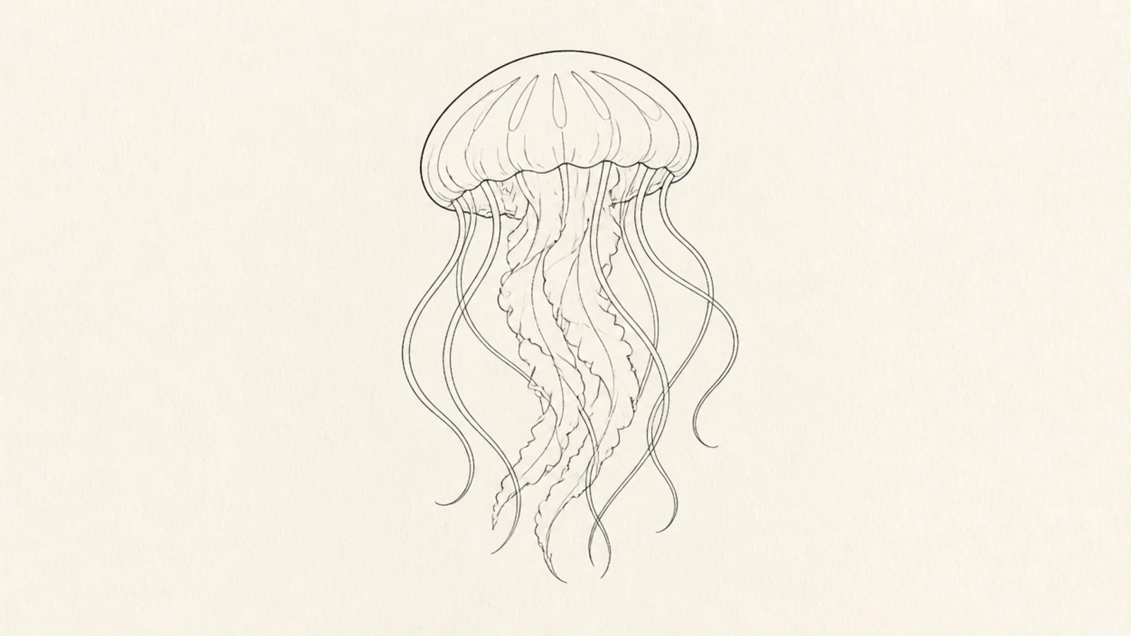 A clean digital line-art jellyfish with no color
