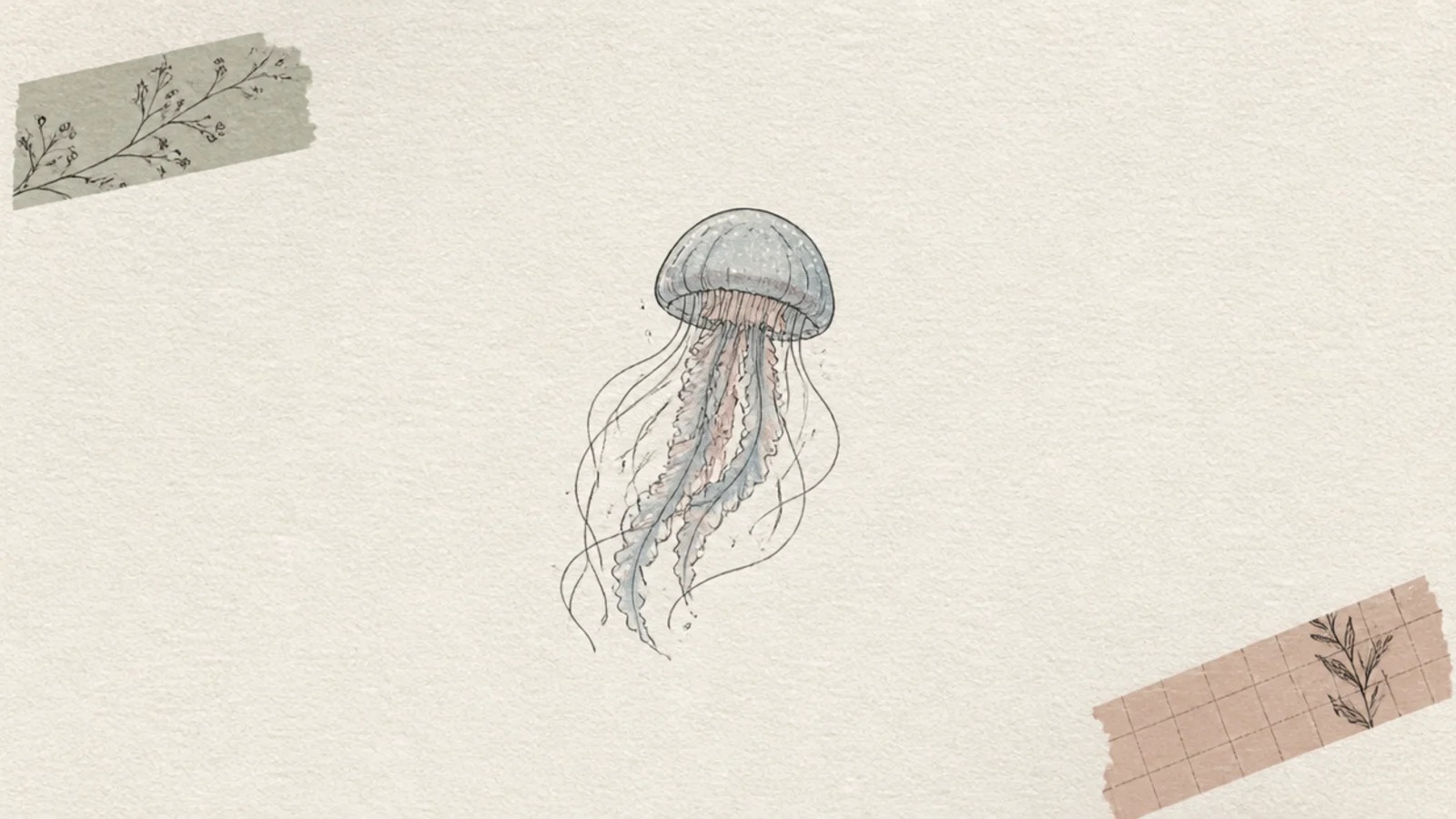 A jellyfish framed by strips of muted washi tape