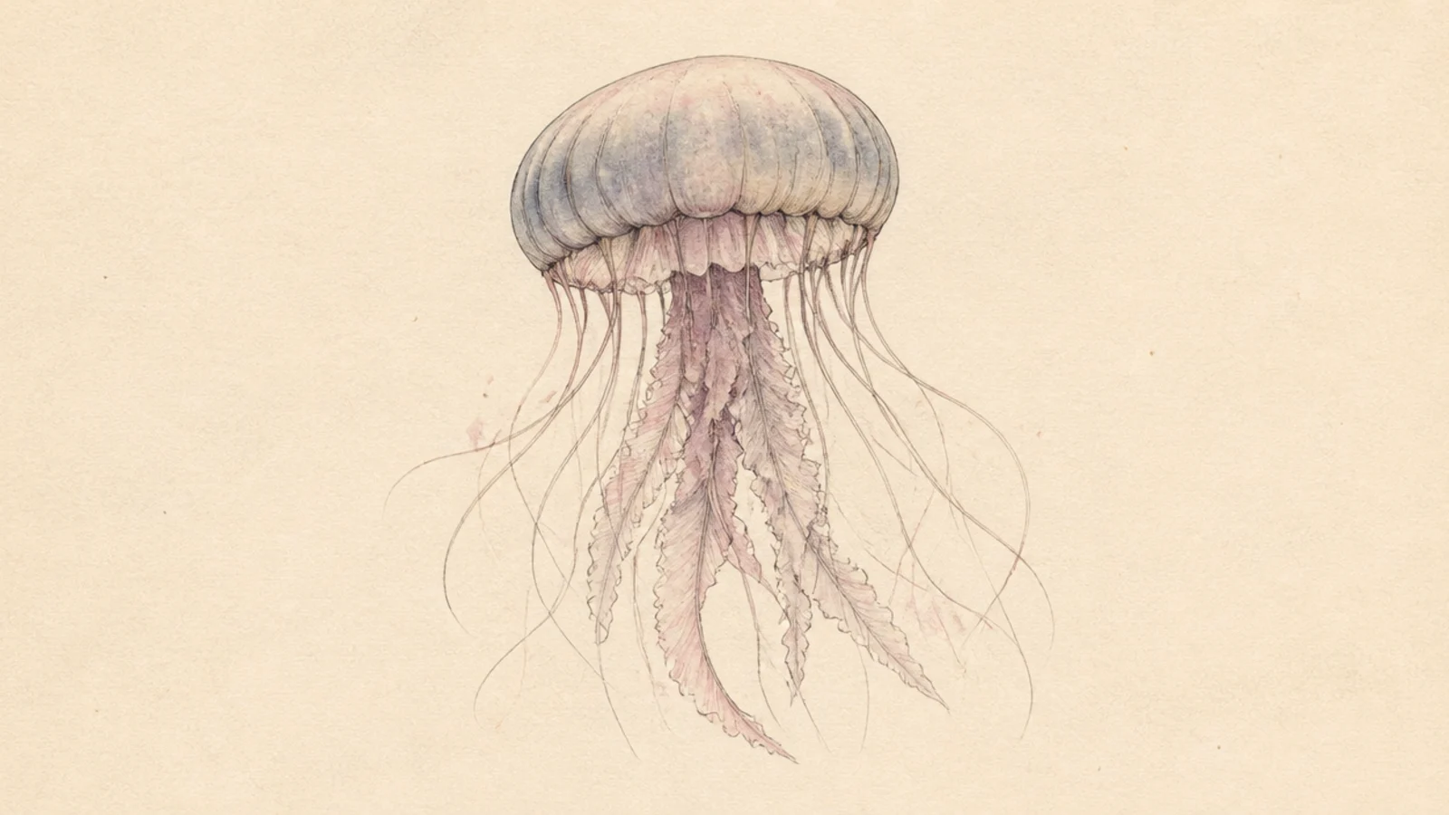 A jellyfish in faded, washed-out vintage colors