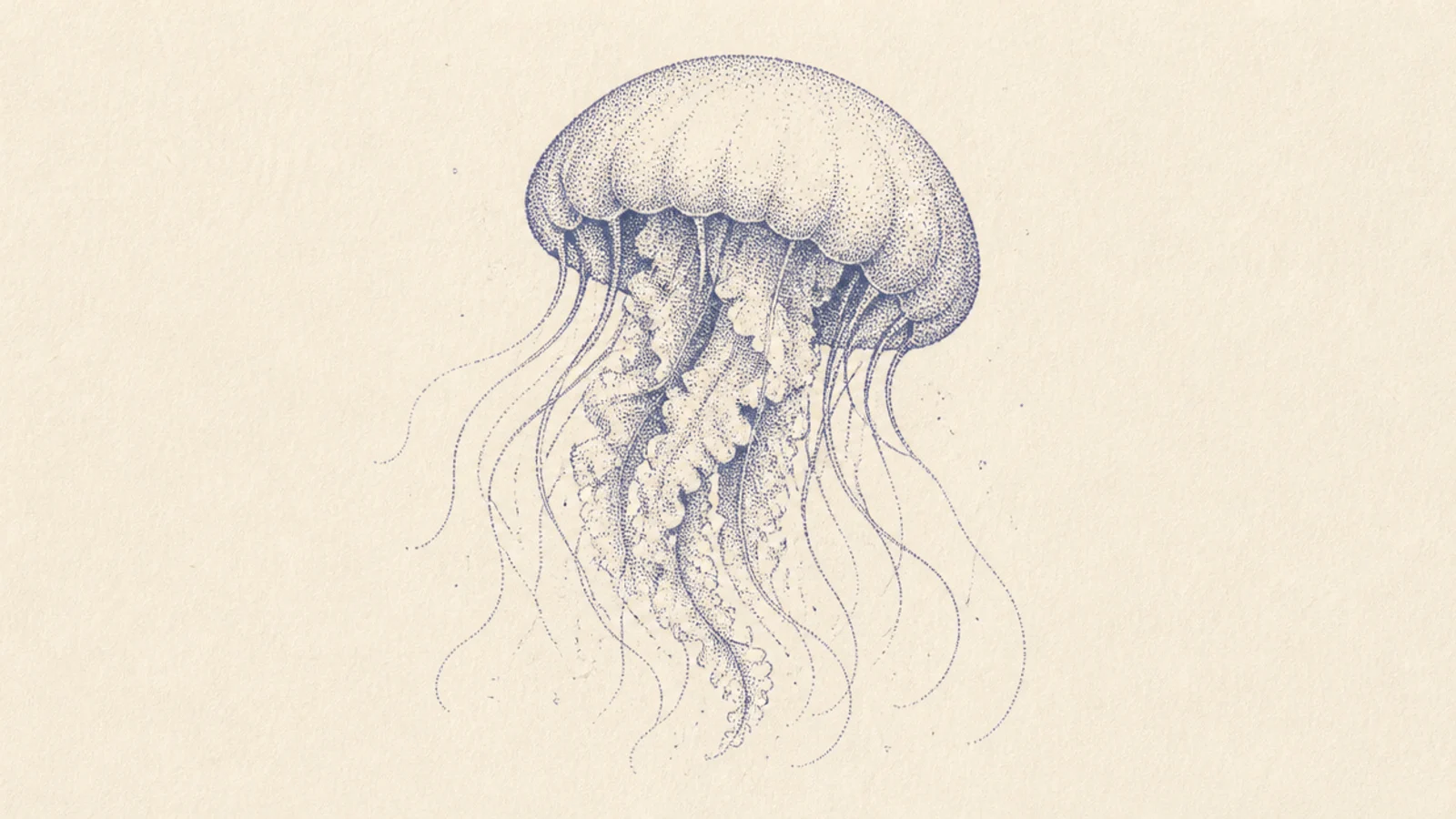 A jellyfish shaded entirely with fine stippled dots