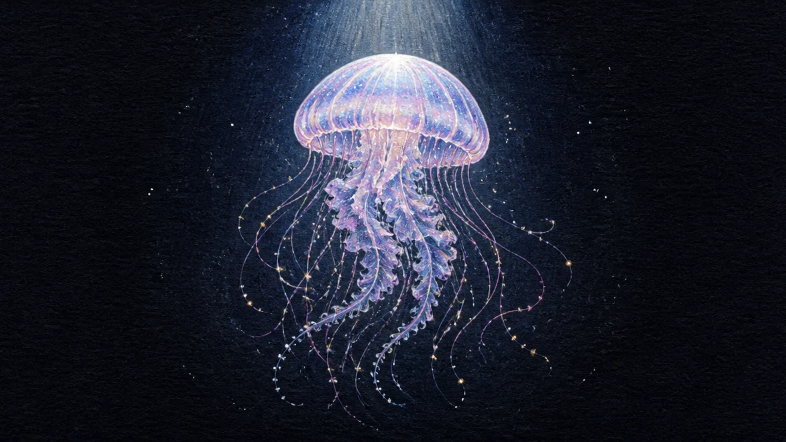 A jellyfish lit by a soft beam of moonlight from above