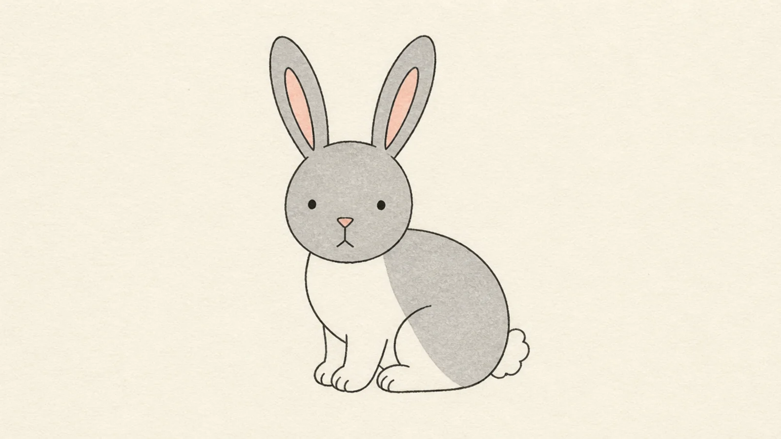 A simple rabbit with a grey body and a white belly