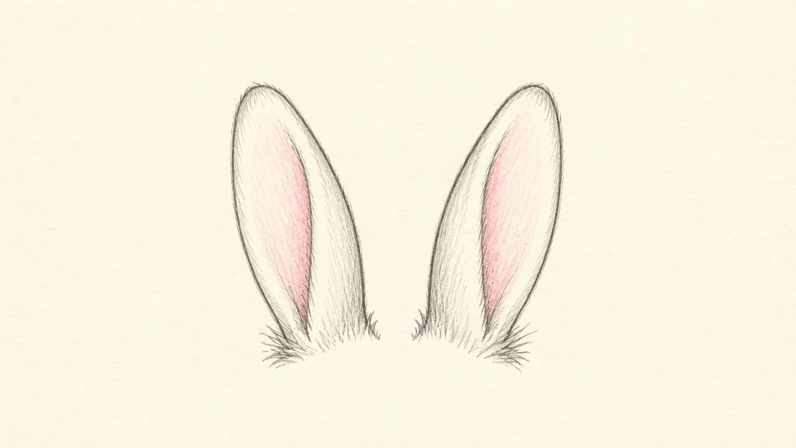 A pair of short, rounded baby-bunny ears