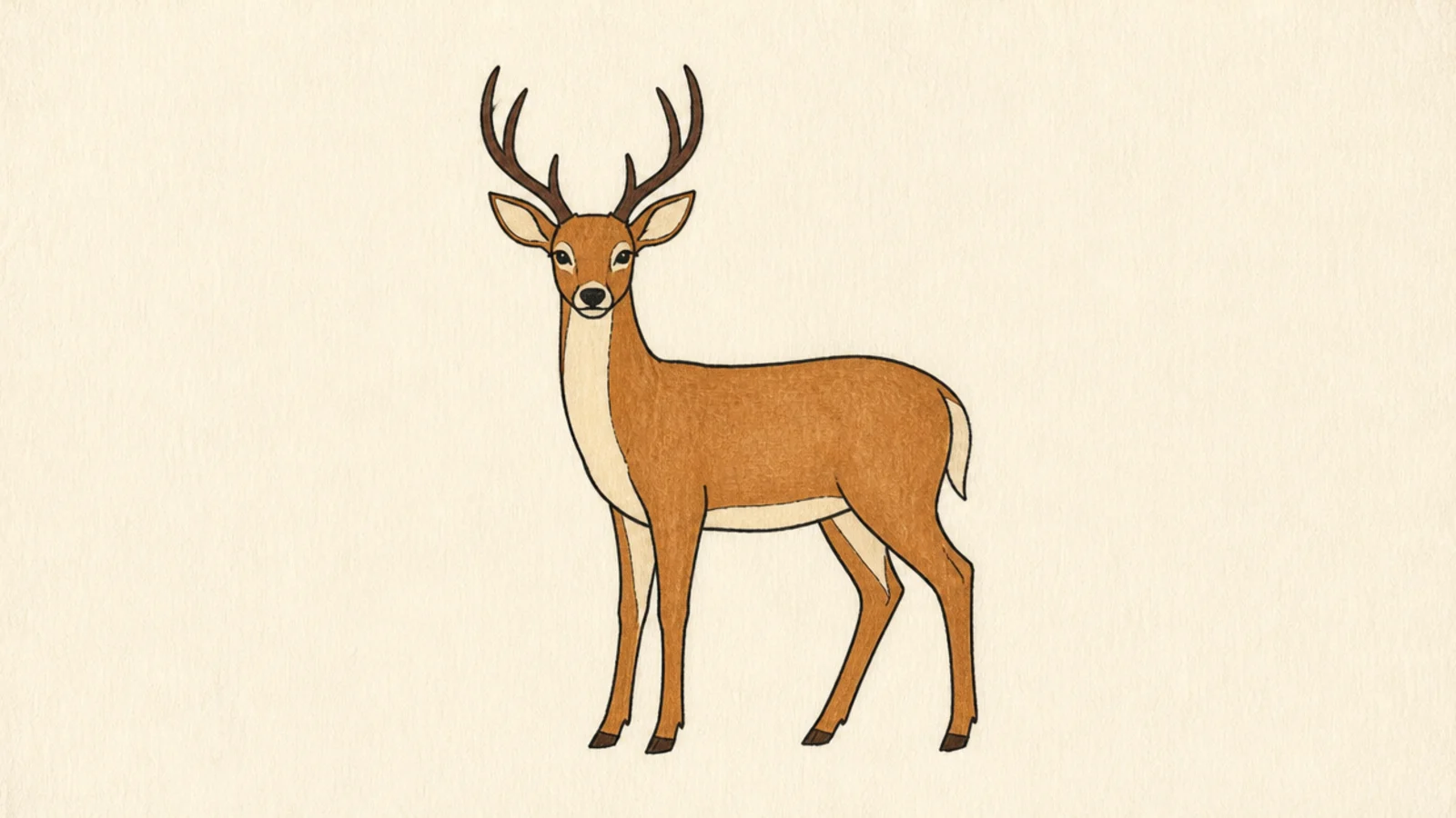 A simple deer filled with flat brown and a lighter belly