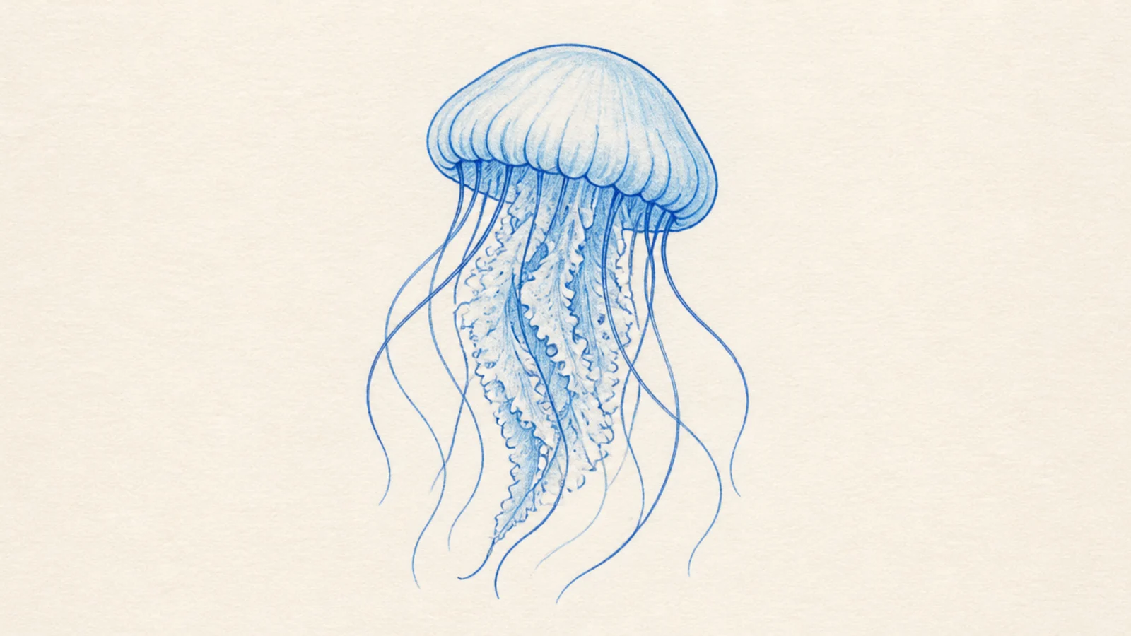 A simple jellyfish colored in two light tones of blue