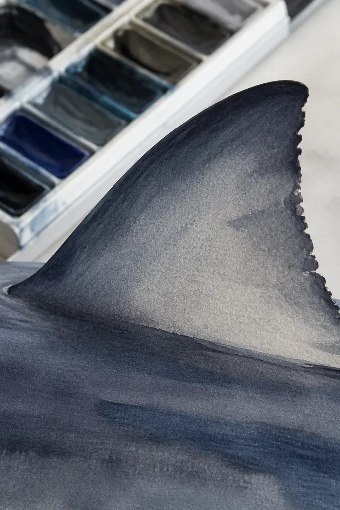 Dorsal and pectoral fin edges with darker outlines and lighter interior shading