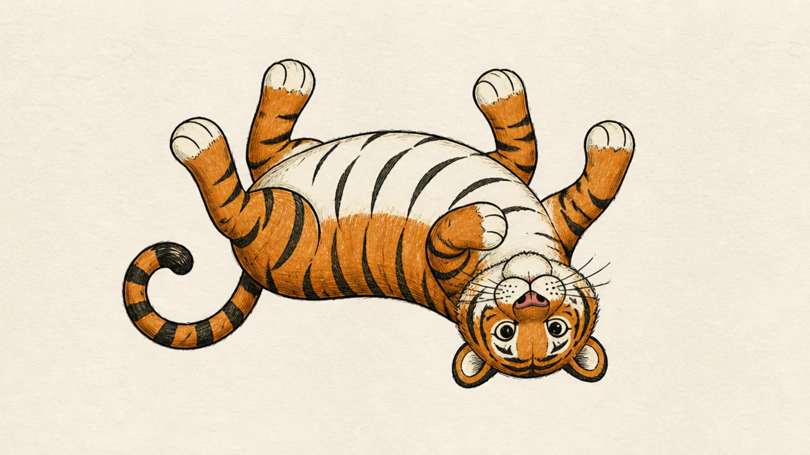 A simple tiger rolling on its back with paws up