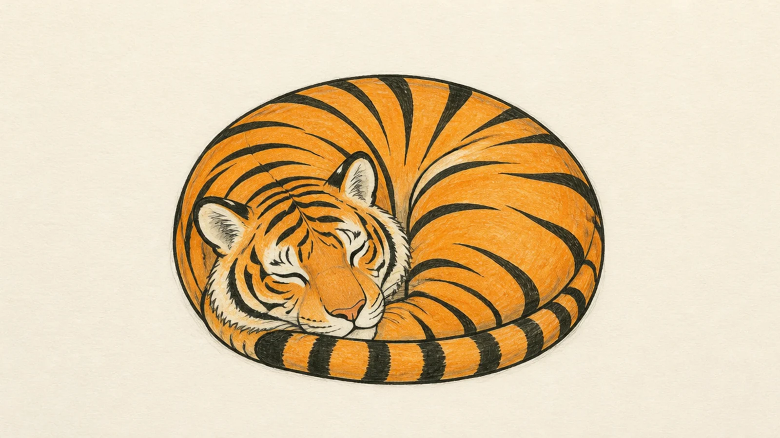 A simple tiger curled up asleep in a round shape