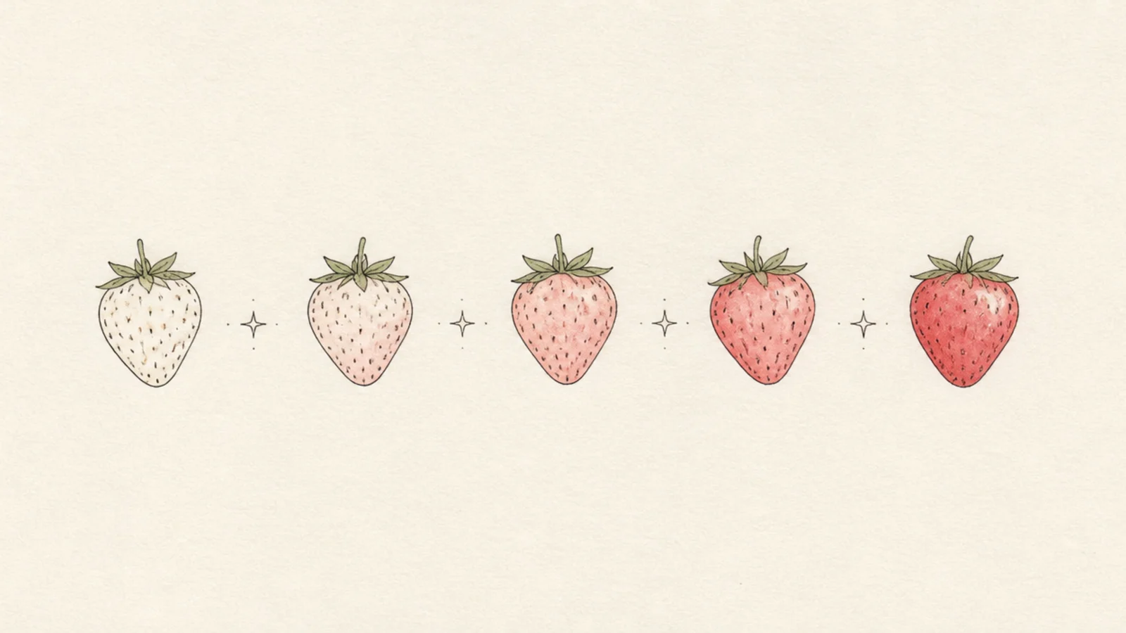 A row of strawberries drawn like phases of the moon