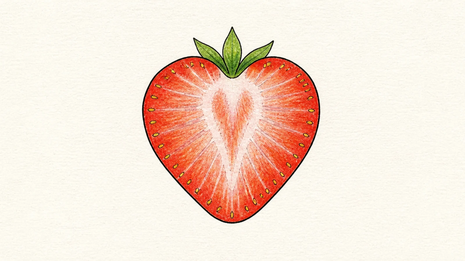 A single round slice of strawberry showing the pattern inside