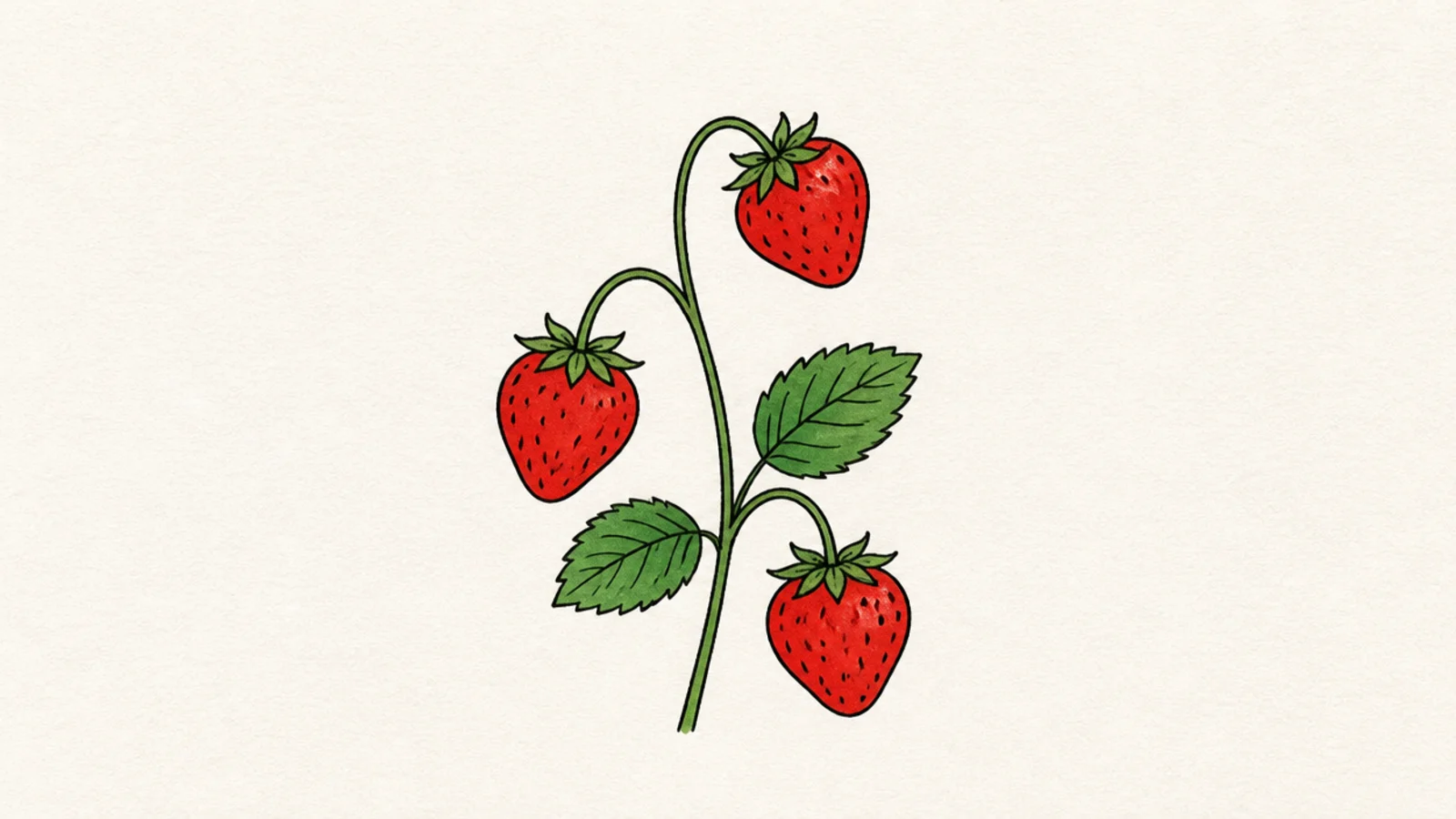 Three simple strawberries grouped together at different heights