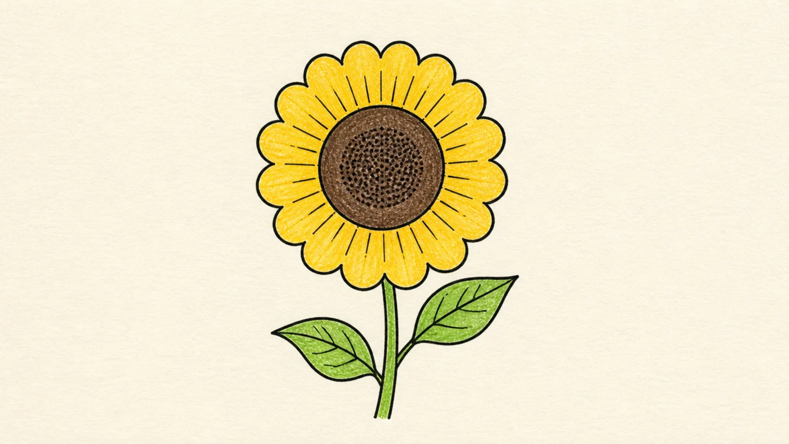 A simple sunflower with a scalloped ring of petals