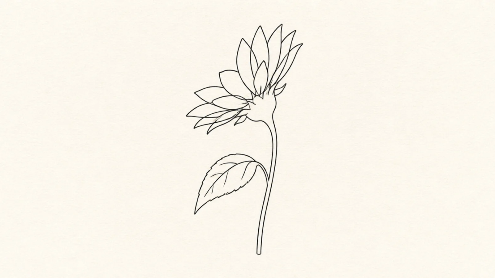 A minimalist side view of a sunflower on a stem