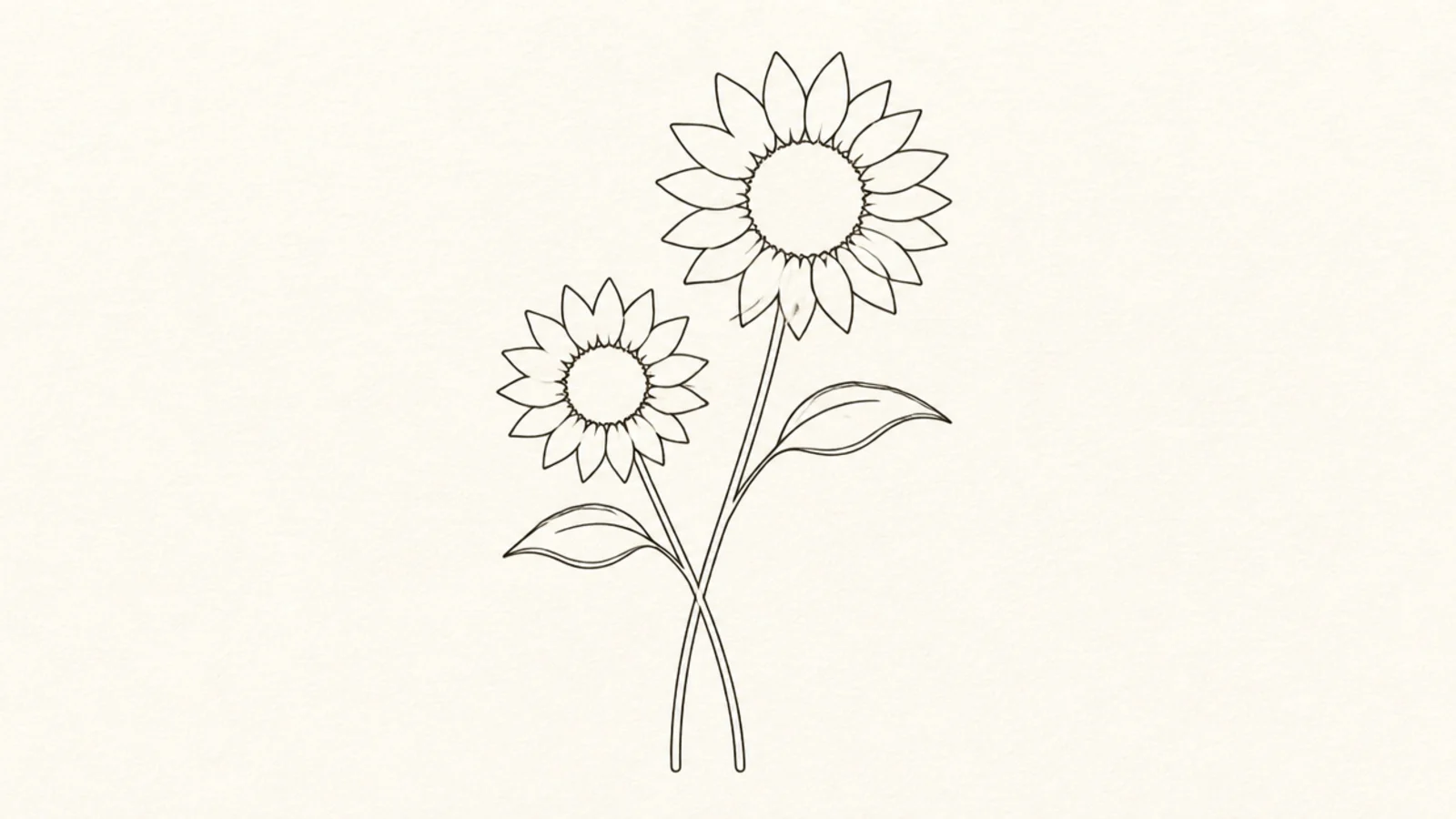 Two minimalist line sunflowers on crossing stems