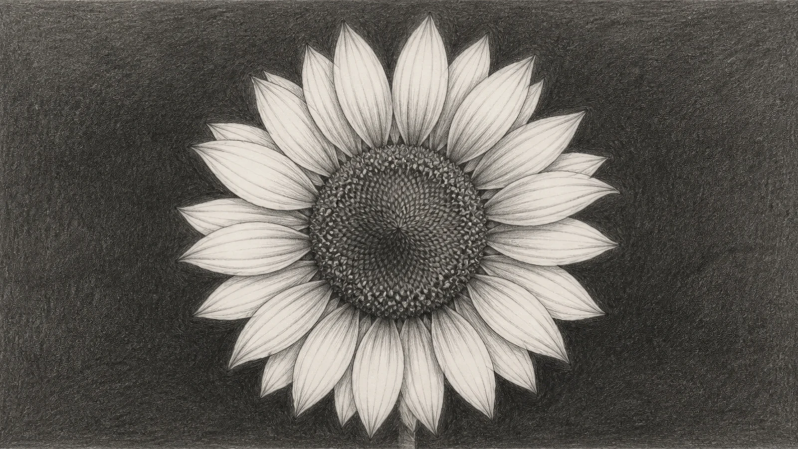 A sunflower revealed by shading the background dark