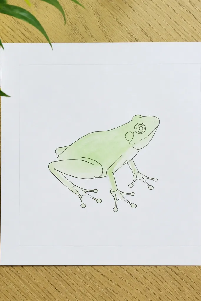 Simple outline tree frog with a light green wash and clean white space